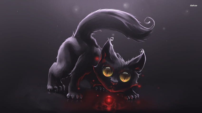 Evil Cat HD wallpaper | Pxfuel