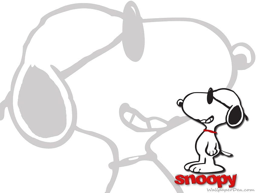 Fajny Snoopy, fajny Snoopy Tapeta HD