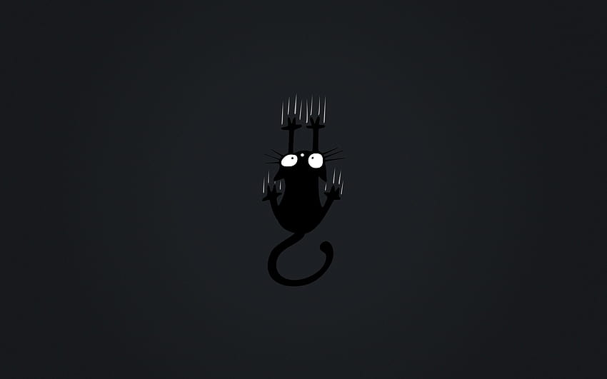 Best 6 Octocat on Hip, black cat minimalist HD wallpaper