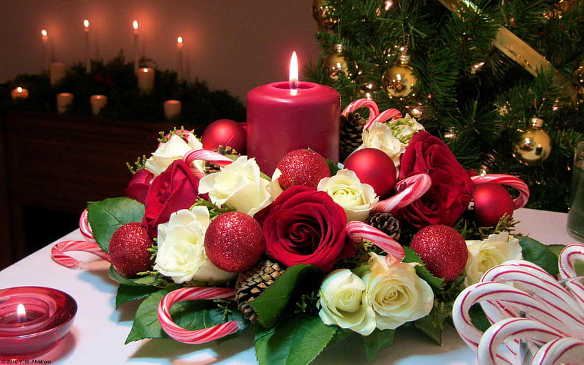 Happy Holidays Happy Christmas And New Year Christmas Candle, rose and christmas red candles HD wallpaper