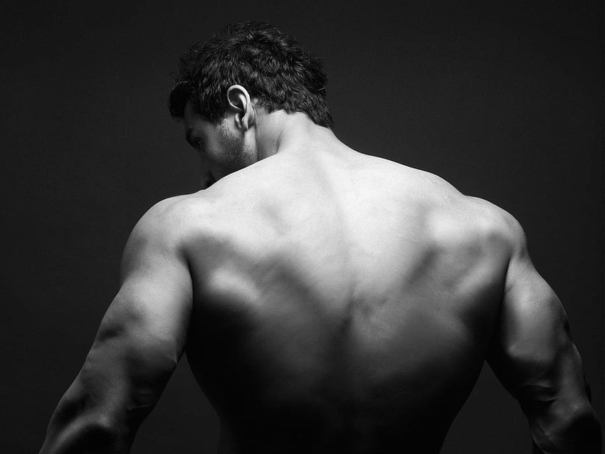 Back Muscle, back pose HD wallpaper