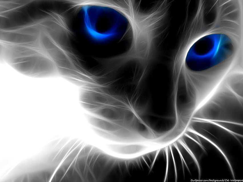 Transparent cat made of light with blue eyes and backgrounds for myspace and twitter layouts, blue cat HD wallpaper