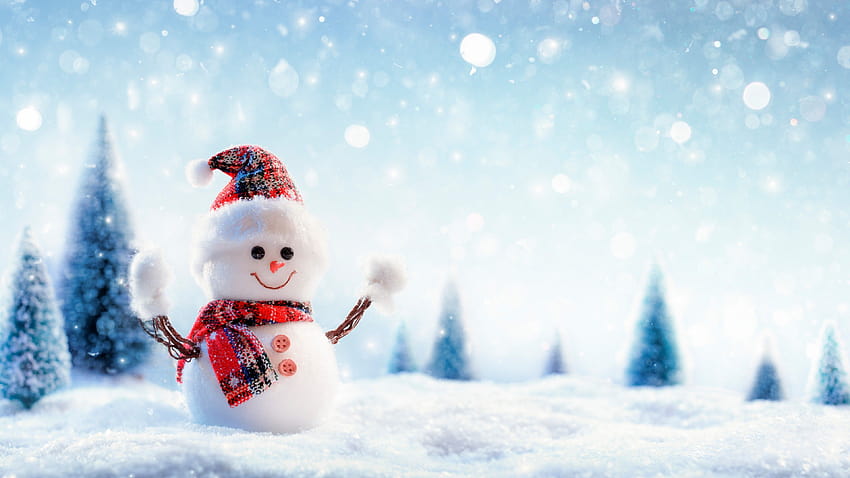 クリスマス、正月、雪、冬、雪だるま、、休日、冬の雪だるま 高画質の壁紙