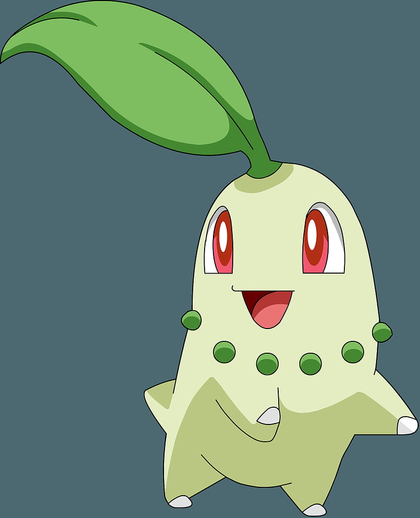 152: Chikorita HD phone wallpaper | Pxfuel