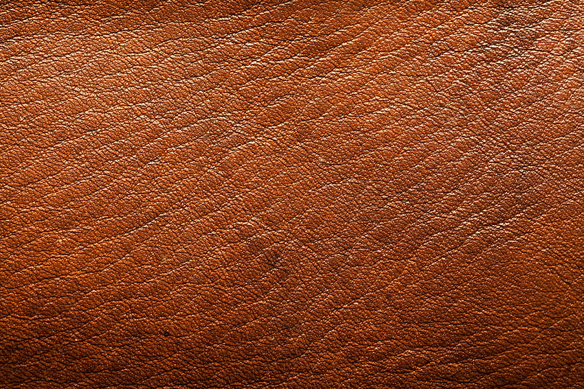 Textura de couro marrom Wild Textures 3000x2000 [3000x2000] para seu celular e tablet papel de parede HD