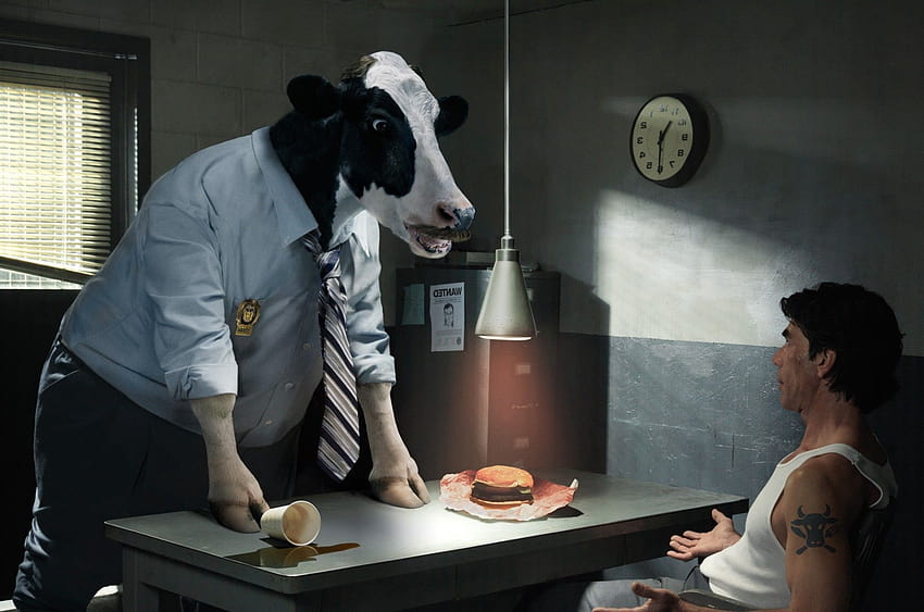 Police cow is conducting the interrogation, banana cow HD wallpaper