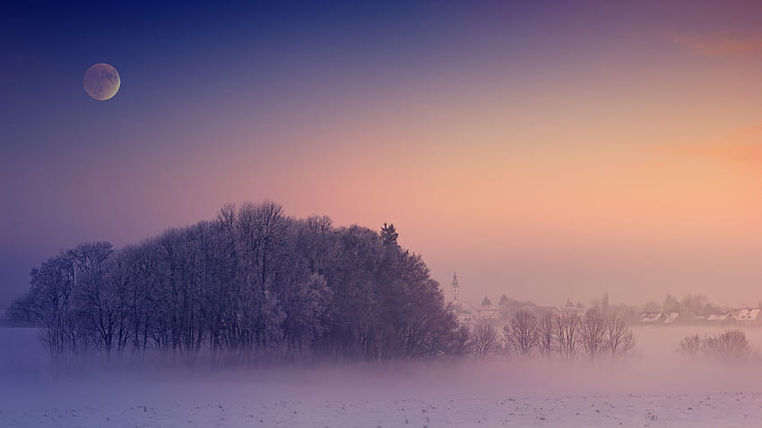 冬、朝、霧、月、風景、寒さ、自然、霧の冬の夜 高画質の壁紙