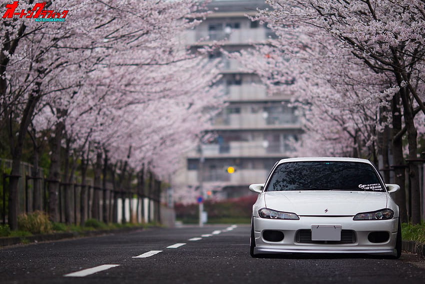 Automtive, cherry blossom car에 있는 핀 HD 월페이퍼