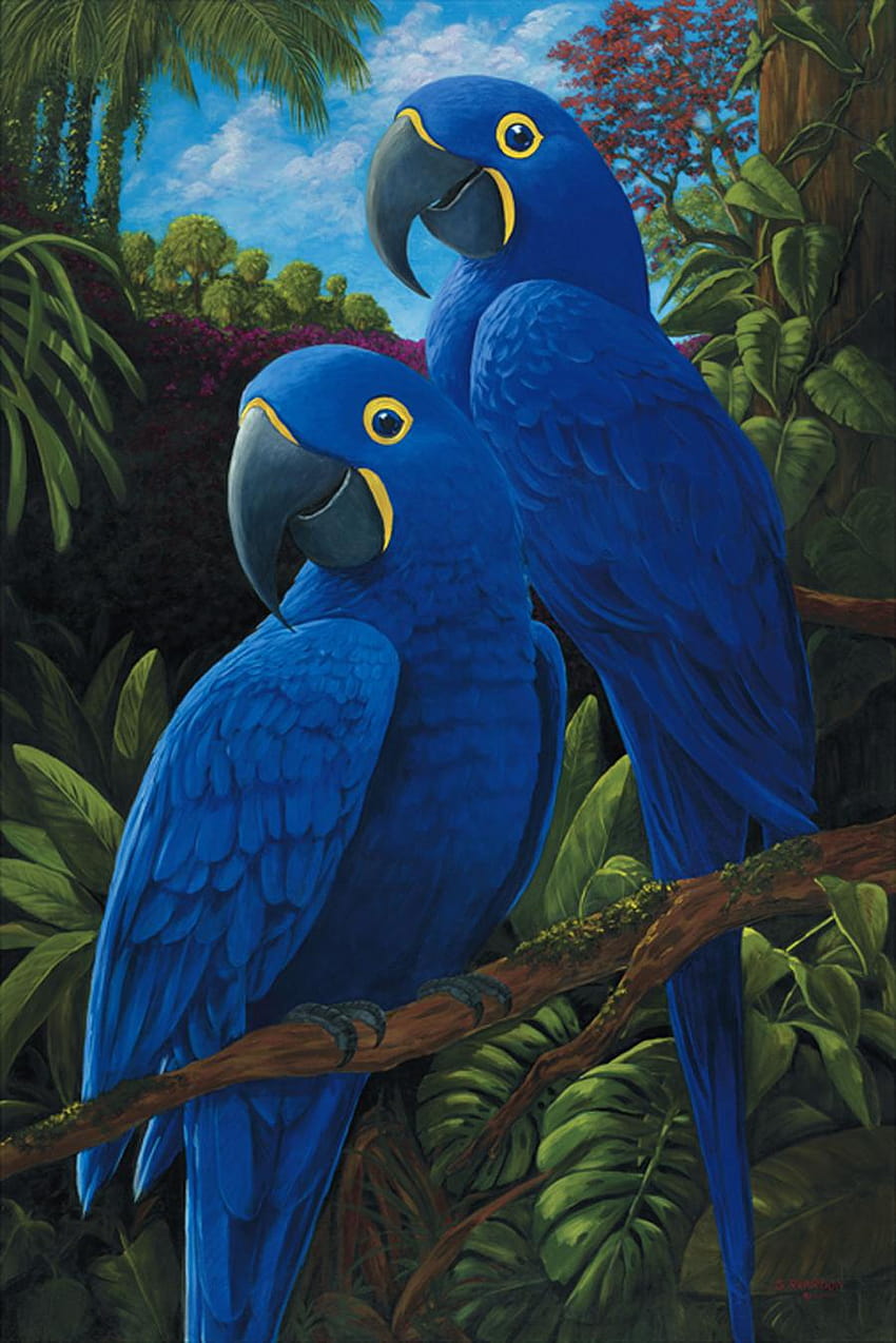 Belas aves da arara azul Papel de parede de celular HD