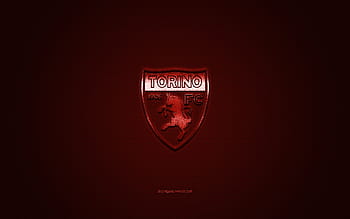 10+ Torino F.C. HD Wallpapers and Backgrounds