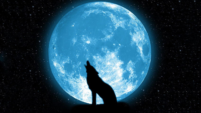 Wolf Howling At The Moon, to the moon HD wallpaper | Pxfuel