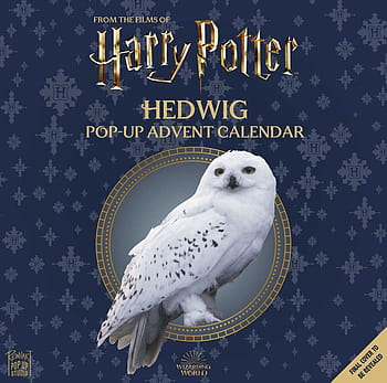 Hedwig art  Harry Potter Photo 36780662  Fanpop