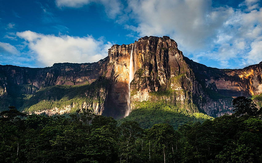 Angel Falls 1920x1200 backgrounds HD wallpaper | Pxfuel