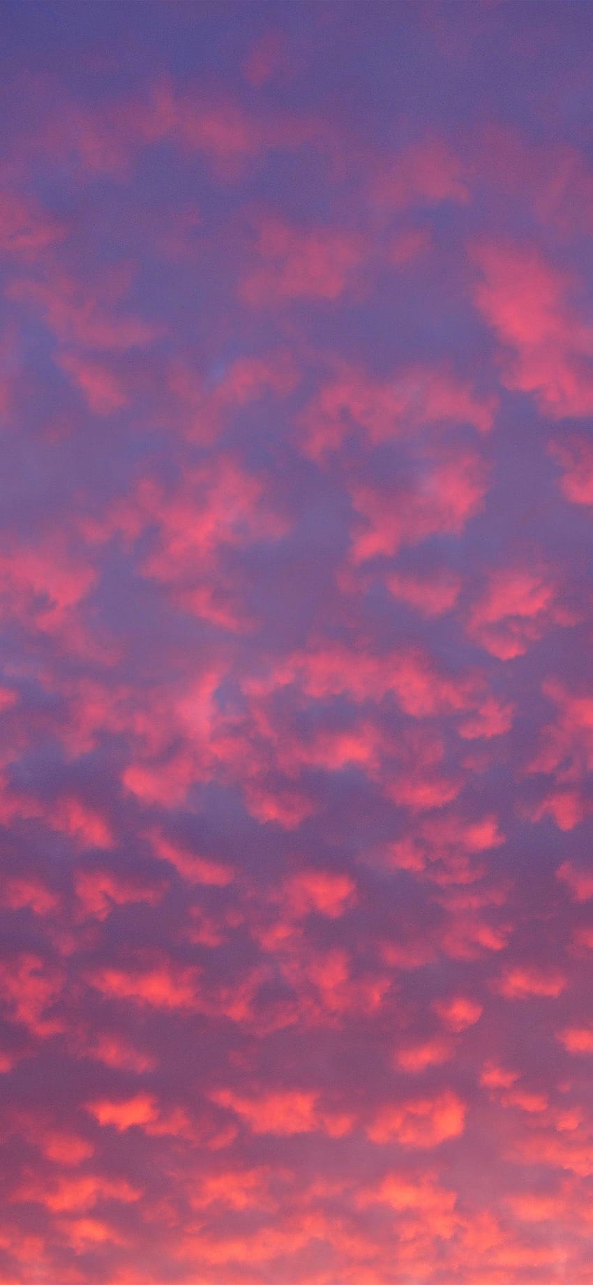 vz84, pink purple clouds iphone HD phone wallpaper