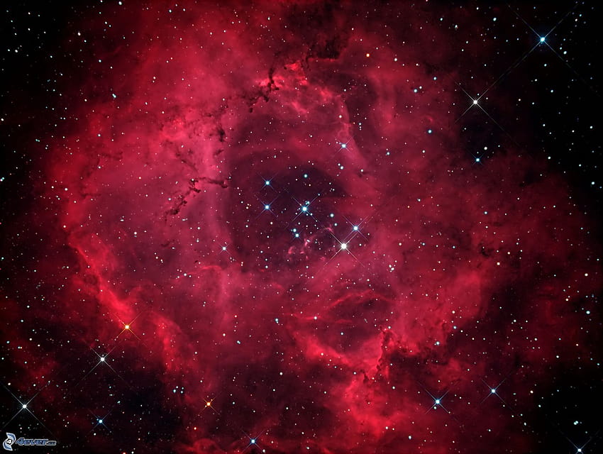 Nebulosa roseta fondo de pantalla