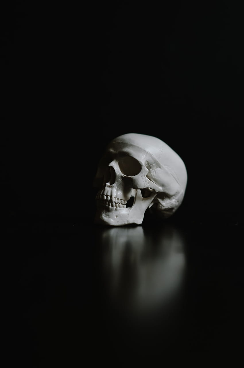 35 Esqueleto [], esqueleto triste fondo de pantalla del teléfono