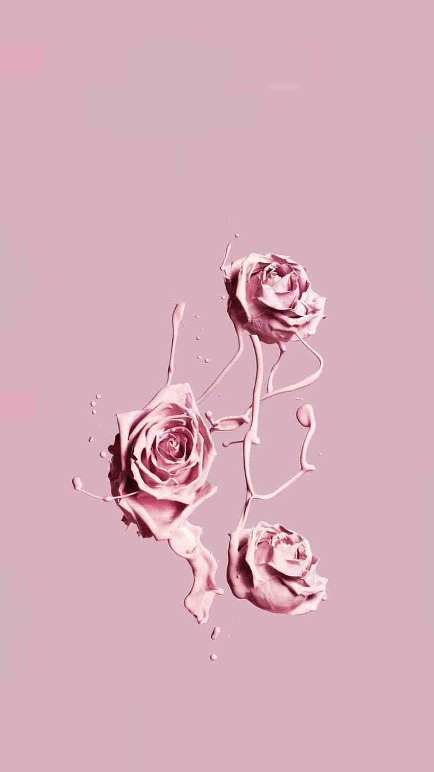 Roses Backgrounds Aesthetic, vintage aesthetic pink rose HD phone wallpaper  | Pxfuel