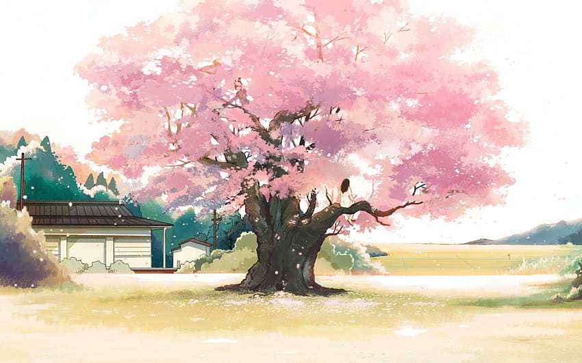2560x1600 Paesaggio anime, Ragazza, Fiore di ciliegio, Foglie rosa, Albero, Scenario per MacBook Pro 13 pollici, paesaggio di fiori di ciliegio anime Sfondo HD