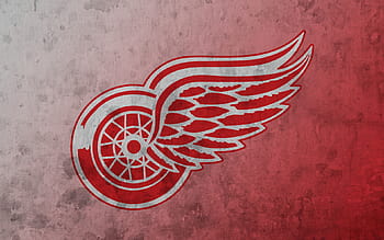 Hockey Jimmy Howard Detroit Red Wings wallpaper, 1900x1080, 128705