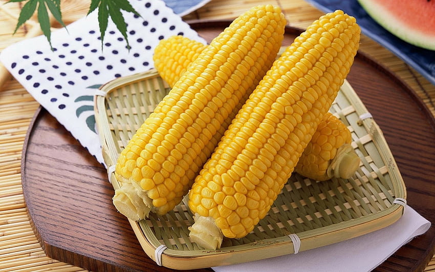 38 Corn, maize HD wallpaper