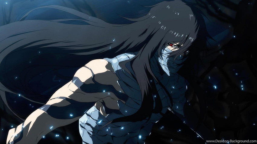 Kurosaki Ichigo Mugetsu Bleach-Hintergründe, Bleich-Ichigo Mugetsu HD-Hintergrundbild