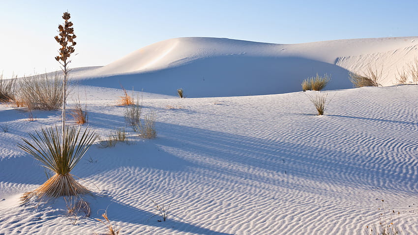 White Sands National Monument é o mais novo parque nacional dos EUA, areias brancas do novo méxico papel de parede HD