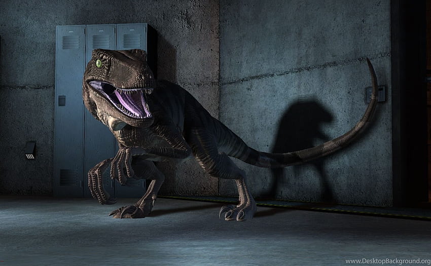 Velociraptor Jurassic Park Backgrounds, raptor taman jurassic Wallpaper HD