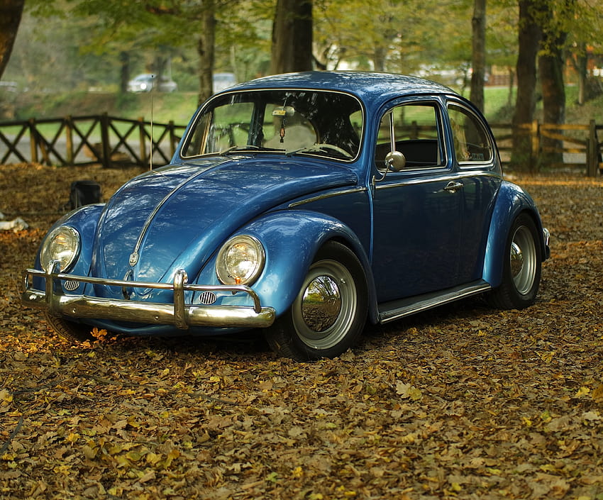 4121x3417 Volkswagen Beetle, Turtle, Autumn, Retro, Cars, autumn volkswagen HD wallpaper