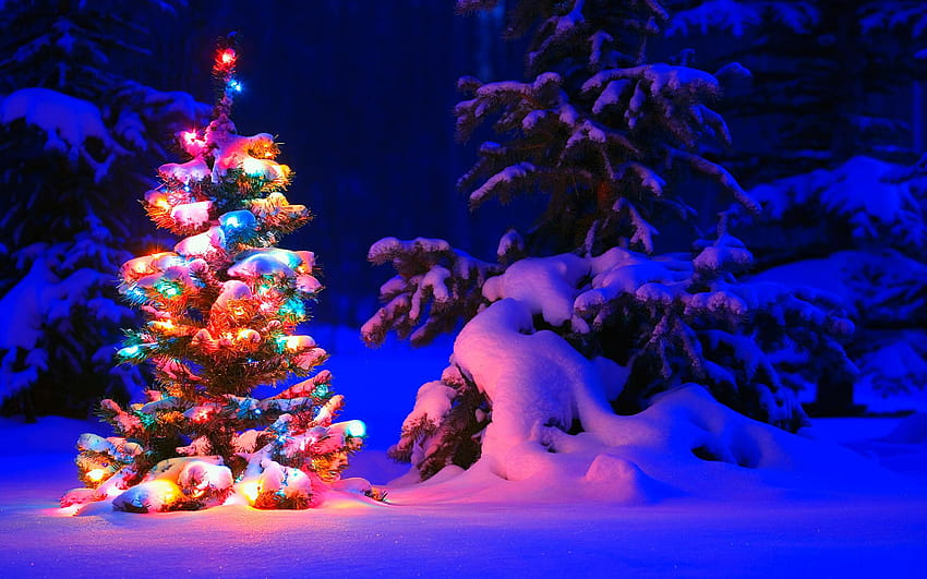 Tło bożonarodzeniowe, ośnieżone lampki choinkowe, śnieżna sztuka nocy świątecznej Tapeta HD