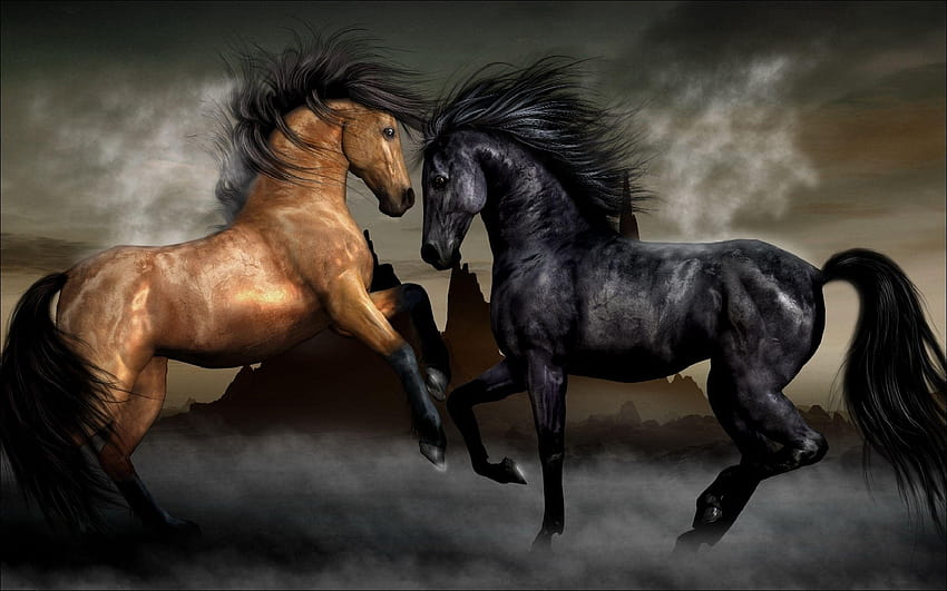 Grupo de cavalos com 58 itens, cavalo marrom papel de parede HD