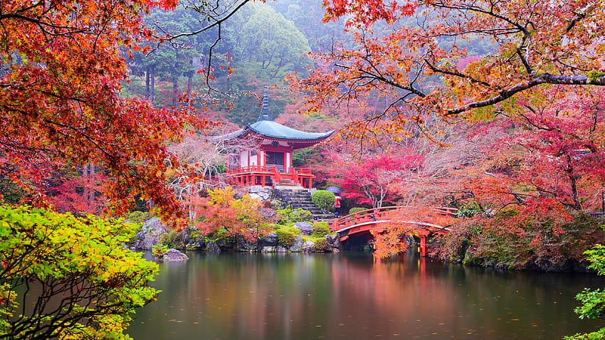 Japan, Kyoto, Park, Pagoda, Colorful Leaves, japan autumn HD wallpaper