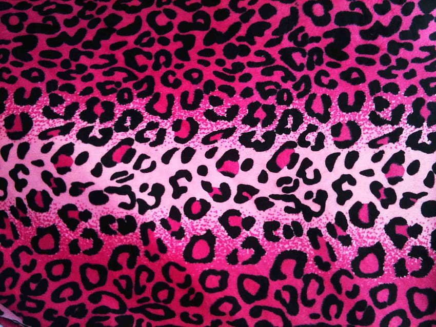 Leopard Print in Pastel Pink, Hot Pink and Fuchsia Wallpaper by mm gladden