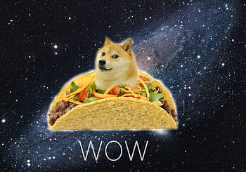 doge meme food