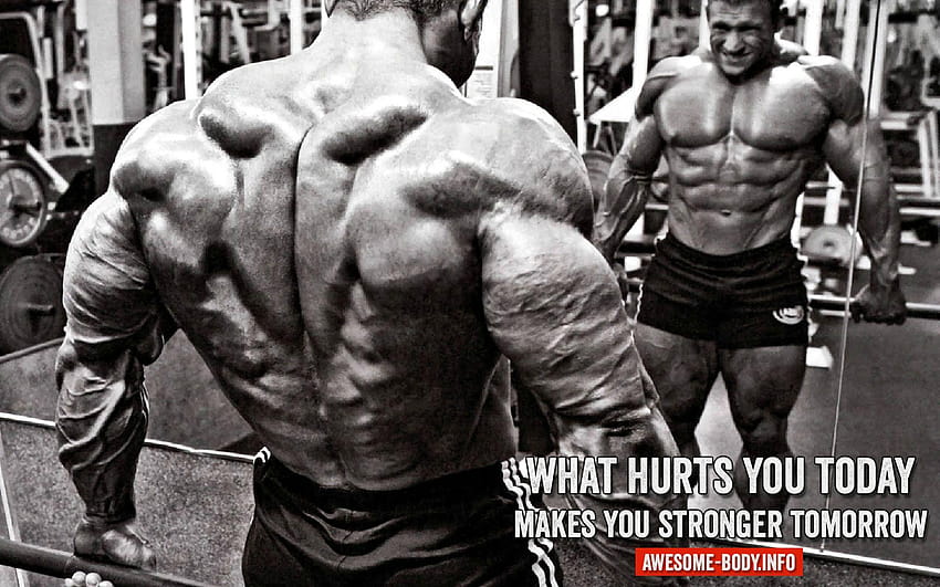 Massive Back Muscles, sergio oliva HD wallpaper