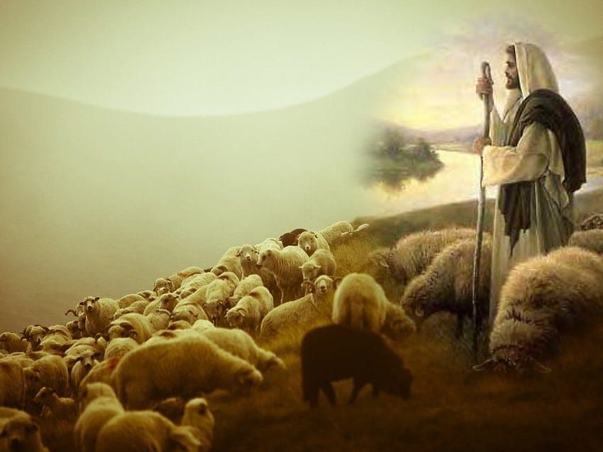 Best 4 Good Shepherd on Hip, jesus with sheep HD wallpaper