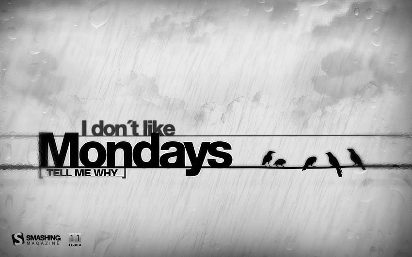 Monday Quotes 4 Cool, quotations HD wallpaper
