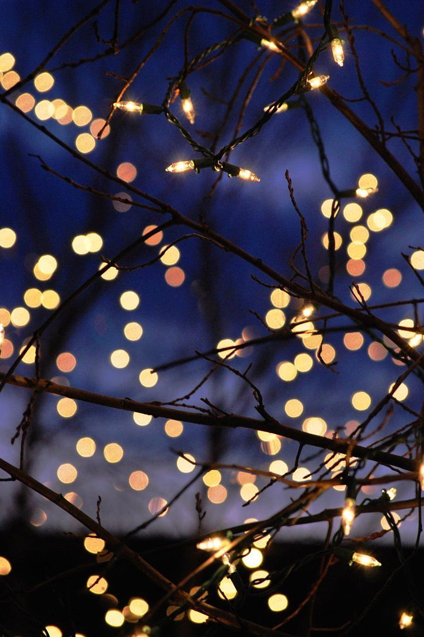 Winter Lights Christmas Lights Dark Lamps String Of, fairy lights winter HD phone wallpaper