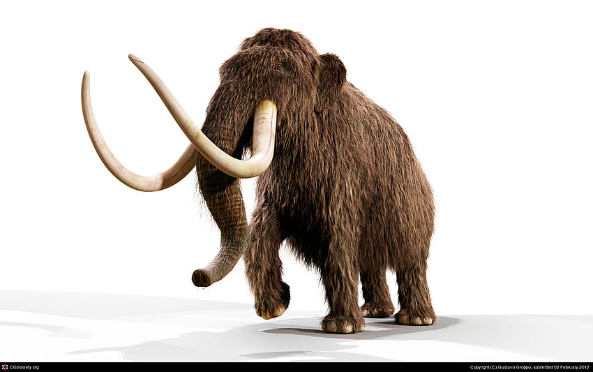 Mammoth , Animal, HQ Mammoth, woolly mammoth HD wallpaper