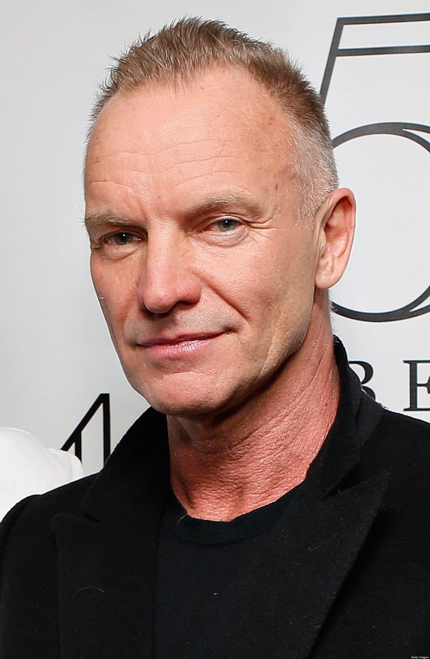 Sting , Musique, HQ Sting, musicien de piqûre Fond d'écran de téléphone HD