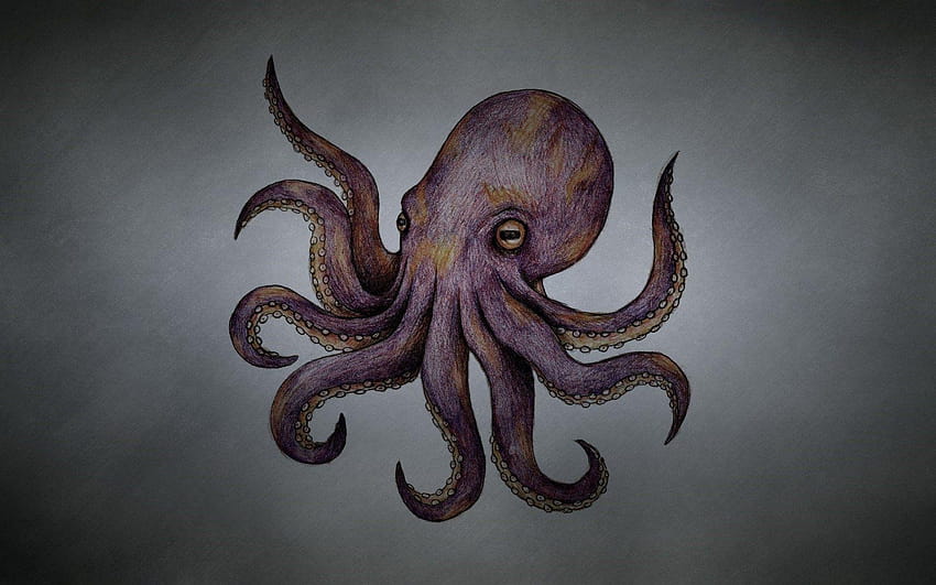 Octopus on Dog, cute octopus HD wallpaper