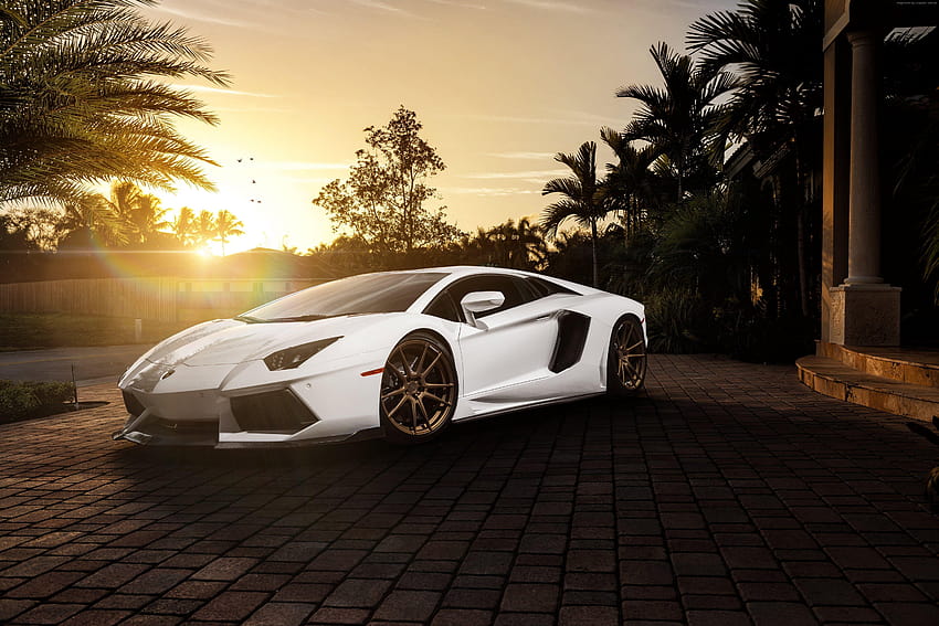 背景 Lamborghini Aventador Cars Bikes Racing With Luxury Car, ラン​​ボルギーニ アヴェンタドール 高解像度 高画質の壁紙