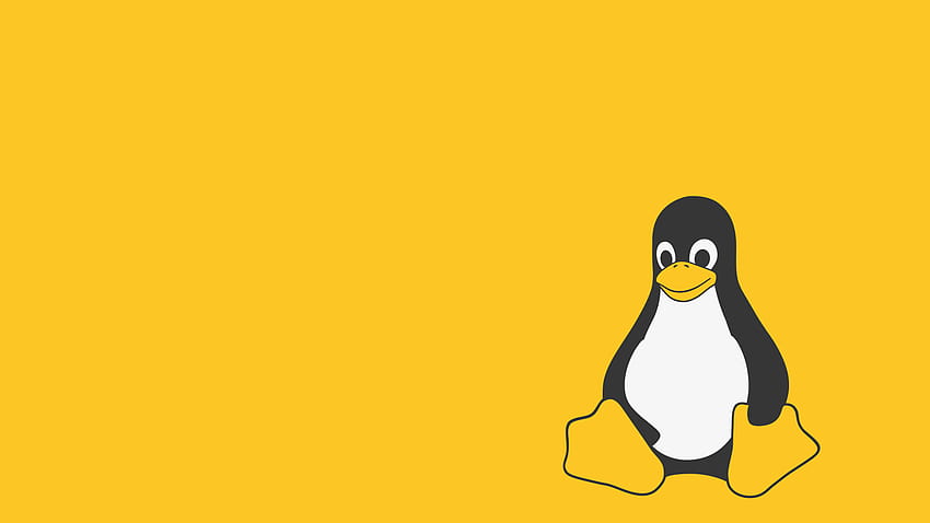 Linux Penguin HD wallpaper
