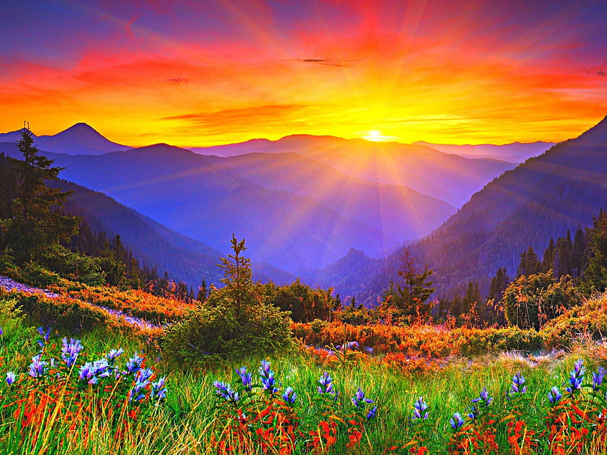  Fondos de pantalla Salida del sol, amanecer, montañas, hierba HD wallpaper