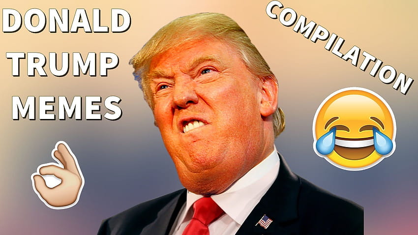 Donald Trump Engraçado postado por Ethan Peltier, donald trump meme papel de parede HD