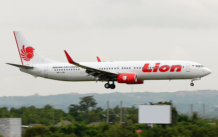 tła: Boeing 737, lew powietrze Tapeta HD
