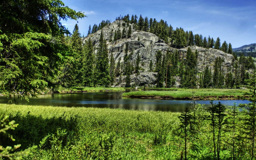 อุทยานแห่งชาติเยลโลว์สโตน สหรัฐอเมริกา ภูเขา แม่น้ำ ต้นสน วอลล์เปเปอร์ HD