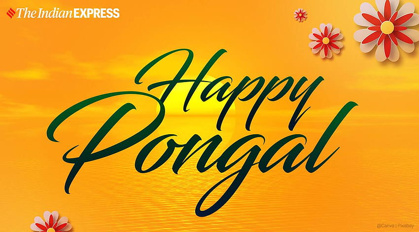 Happy Pongal 2021: Whatsapp Wishes, Status, Quotes, Messages, Pics, pongal 2022 HD wallpaper