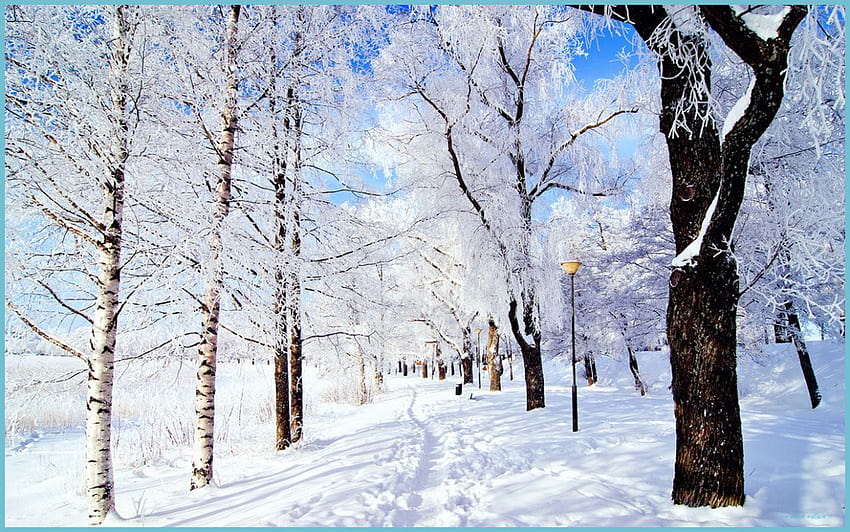 Estetik Kar, sevimli kış estetiği HD duvar kağıdı