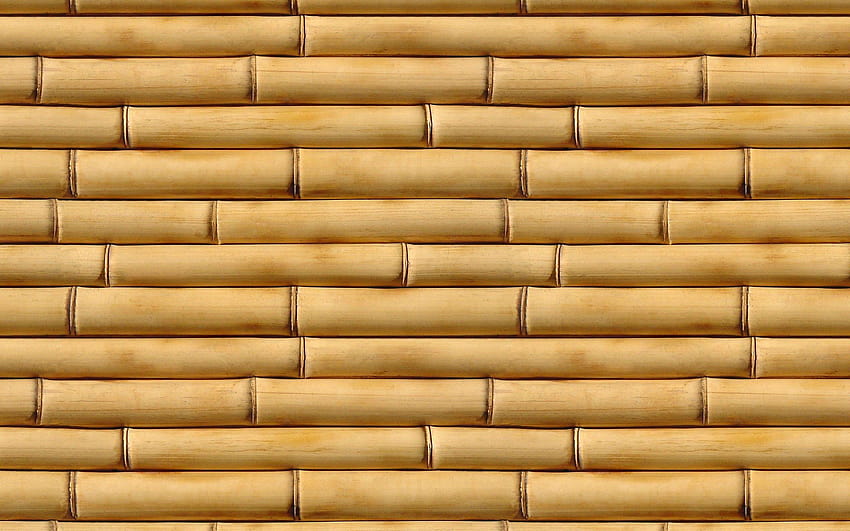 brown bamboo HD wallpaper