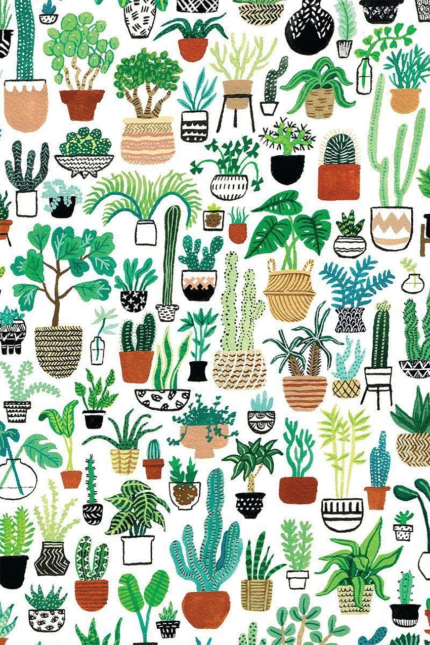 Nina Poulsen on Рисование растений, succulents HD phone wallpaper